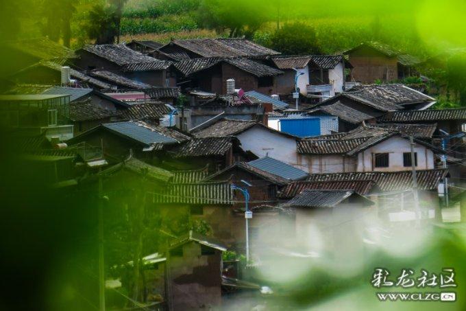 写的笔顺知识问答——解答你的疑问